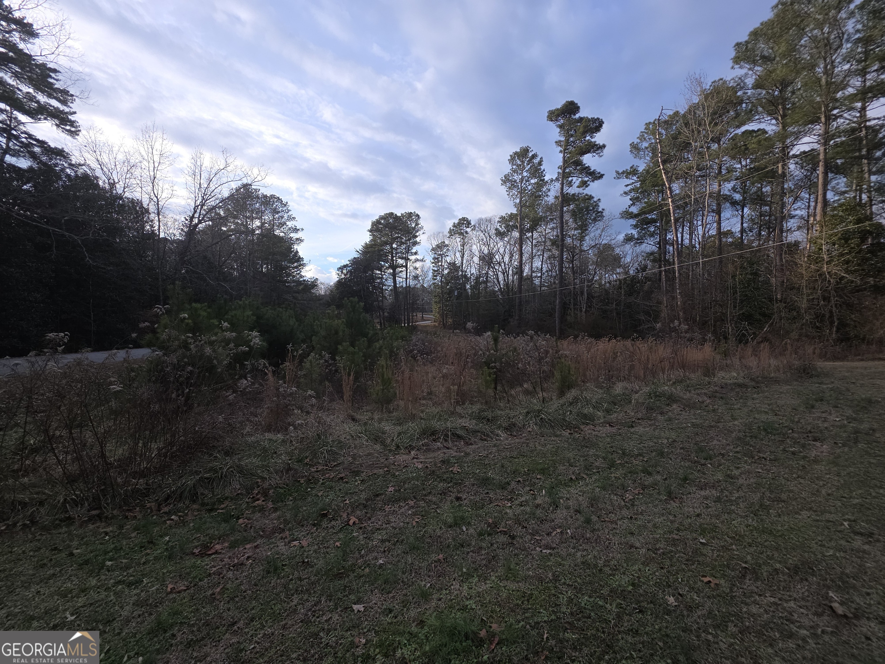 484 Riverside Road Tallapoosa, GA 30176 - Photo 4 of 8 a view of a town with large trees