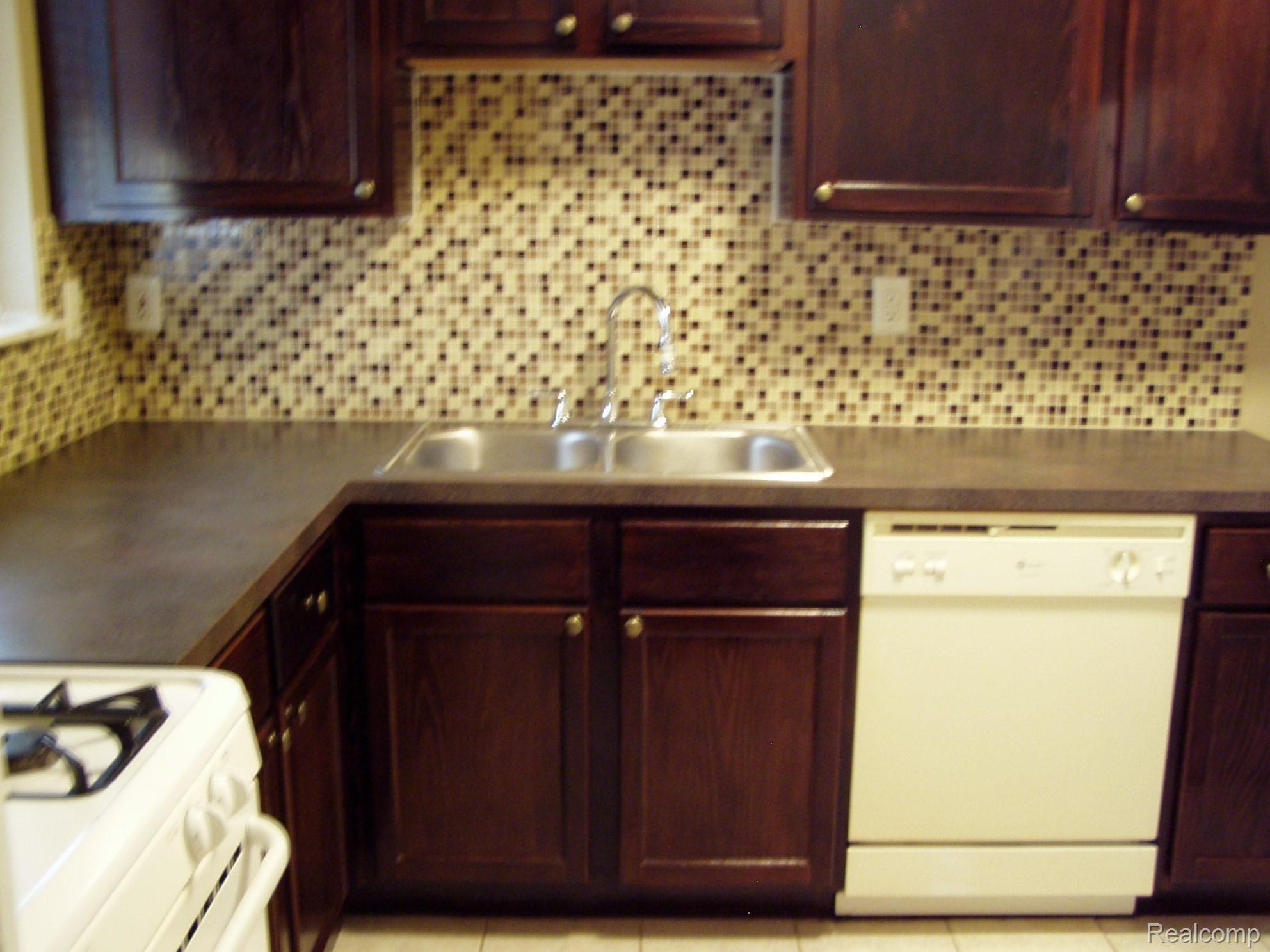 9735 Middlebelt Road Livonia, MI 48150 - Photo 6 of 23 Dishwasher and countertops