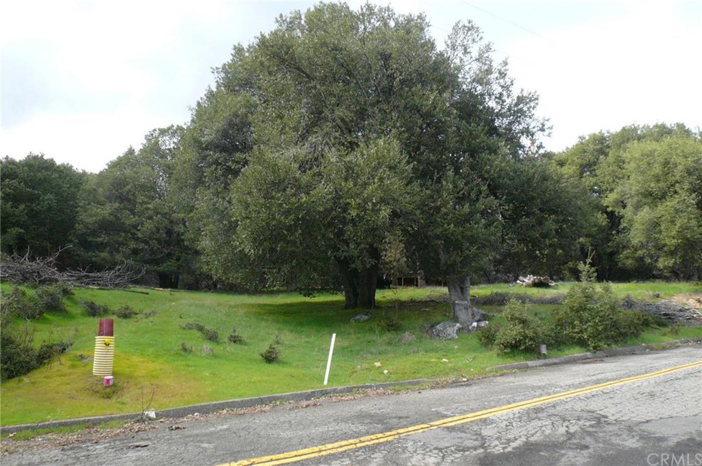 0 Brooks Road Mariposa, CA 95338 - Photo 1 of 1 Gallery Image 1