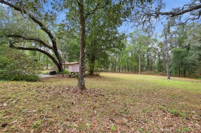 a backyard of a house with lots of green space