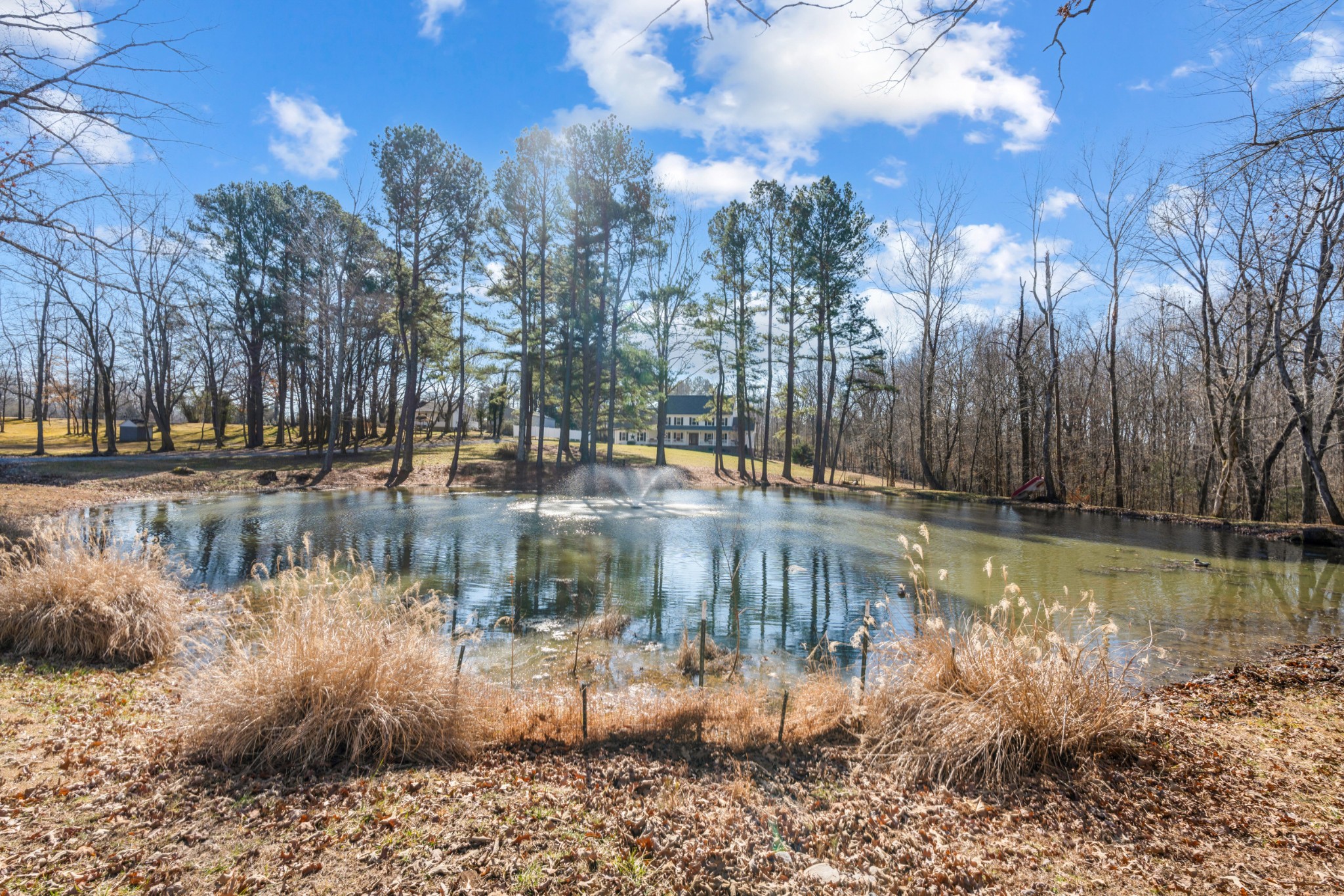 3101 Darnell Road Woodlawn, TN 37191 - Photo 27 of 31 Gallery Image 27