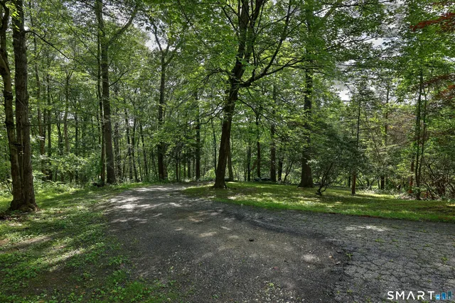 a big yard with trees