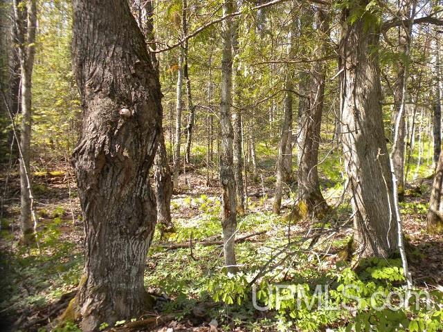 Tbd Clement Road Saxon, WI 54559 - Photo 24 of 34