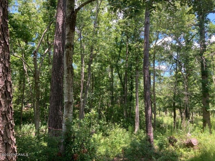 76 Hughes Road Hampstead, NC 28443 - Photo 11 of 25 hughesroadlotwooded3