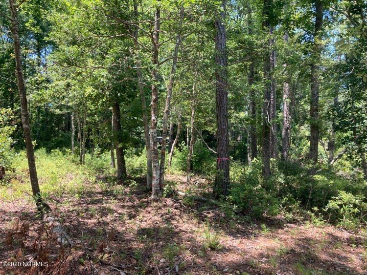 76 Hughes Road Hampstead, NC 28443 - Photo 10 of 25 hughesroadlotwooded4
