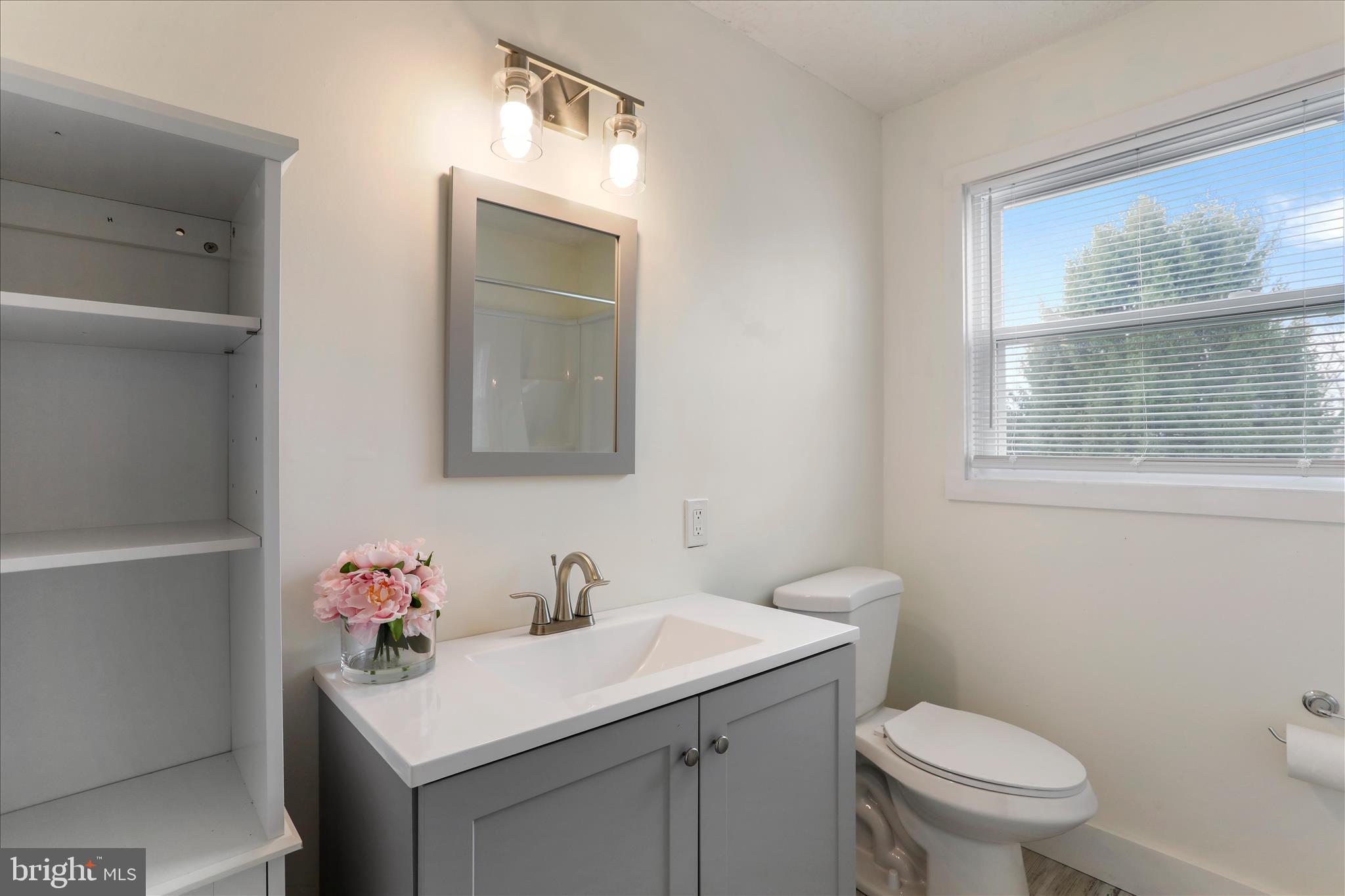 83 Dove Hill Drive Ranson, WV 25438 - Photo 34 of 71 a bathroom with a sink toilet and a window