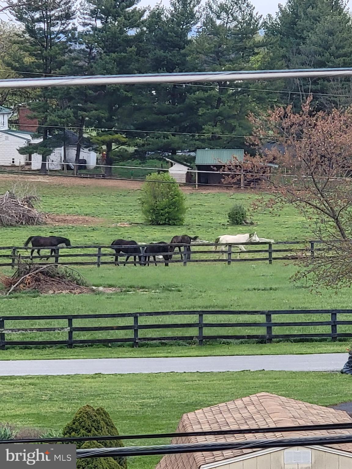 83 Dove Hill Drive Ranson, WV 25438 - Photo 57 of 71 a view of a golf course with a lake