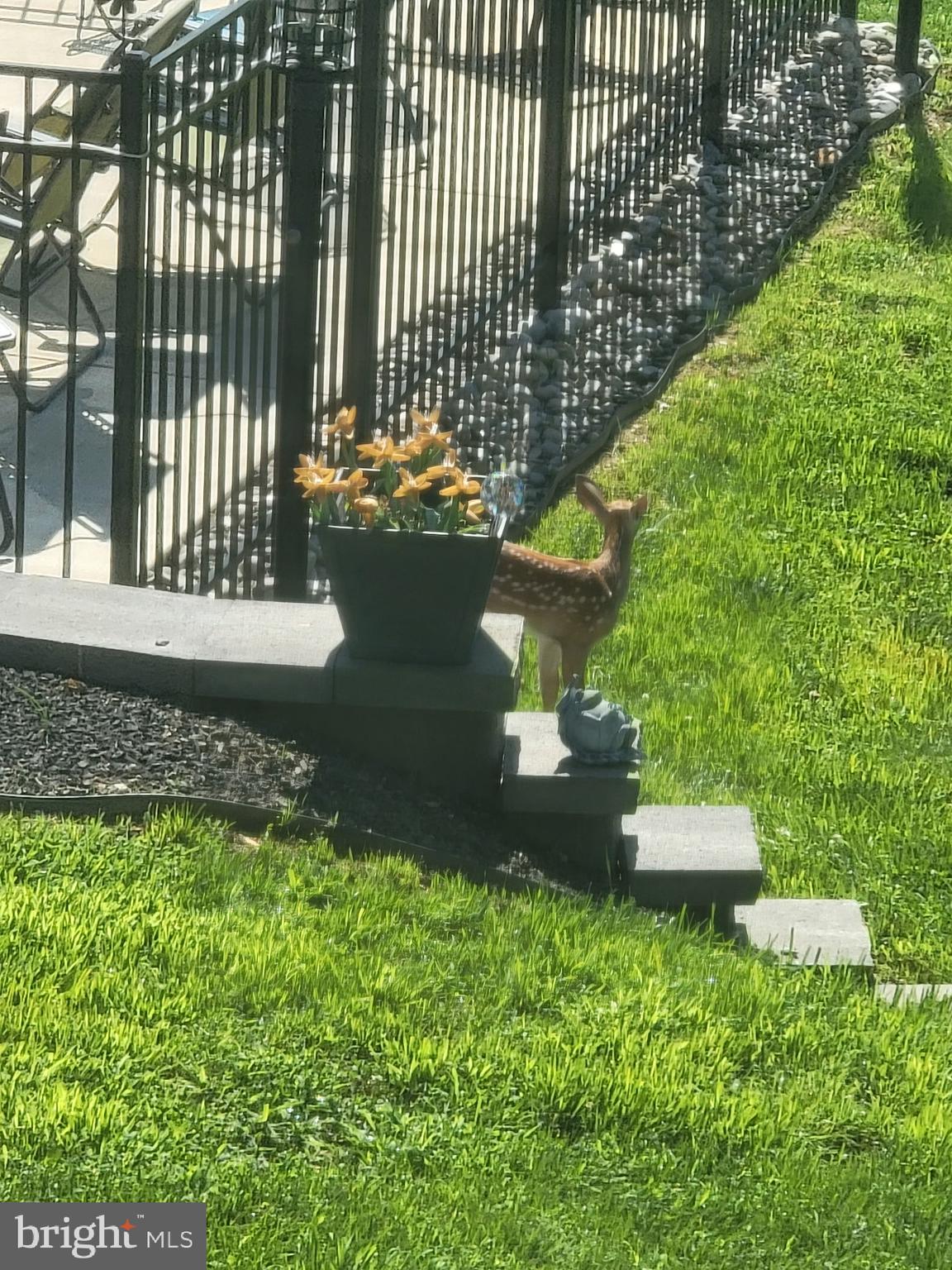 83 Dove Hill Drive Ranson, WV 25438 - Photo 58 of 71 a view of a back yard of the house with a garden