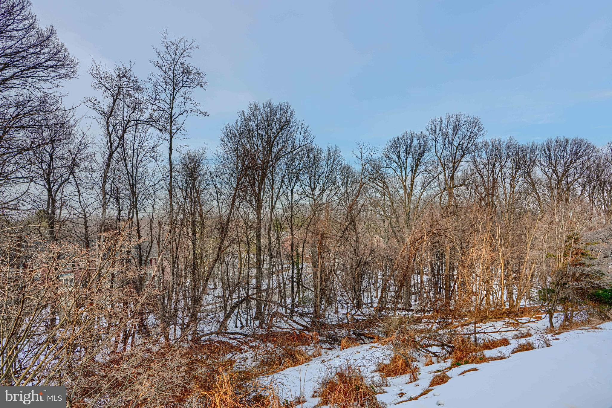 110 Castletown Road, Unit 201 Lutherville-Timonium, MD 21093 - Photo 41 of 41 a view of a backyard of a house