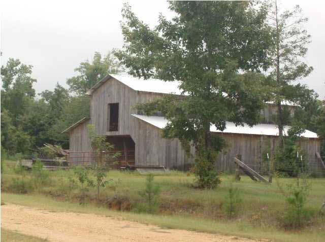 142 Roberts Road Braxton, MS 39044 - Photo 6 of 24 Photo 6