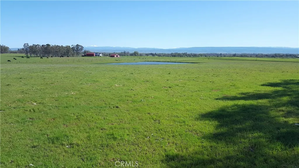 0 Unassigned Name Corning, CA 96021 - Photo 1 of 1 Gallery Image 1