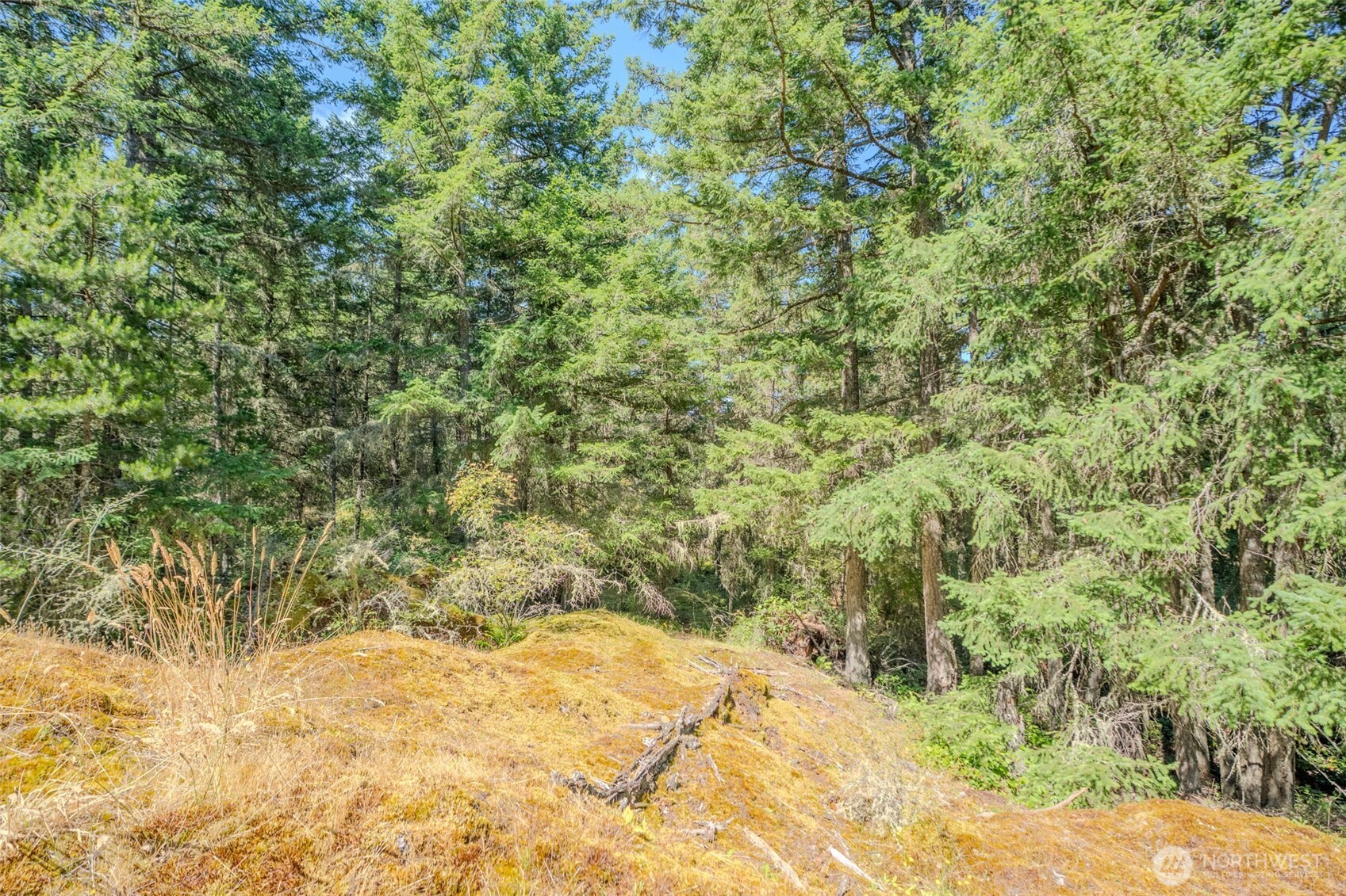 678 Swan Road Orcas Island, WA 98245 - Photo 14 of 39