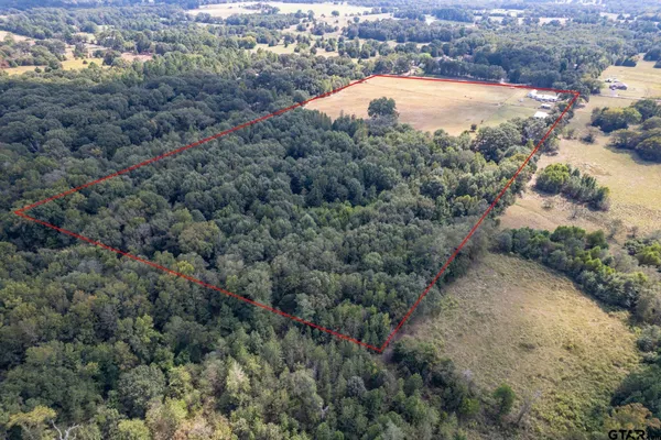an aerial view of a house with a yard and lake view