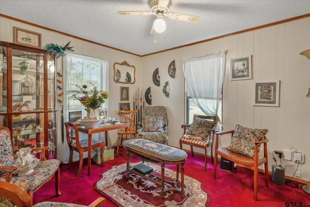 a living room with furniture and a rug