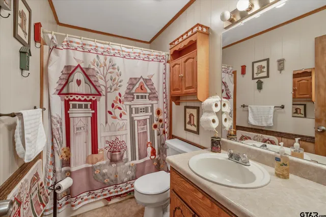a bathroom with a sink vanity mirror and toilet