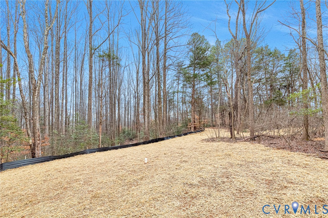 4715 Shannon Hill Road Columbia, VA 23038 - Photo 44 of 52 a view of a backyard of the house