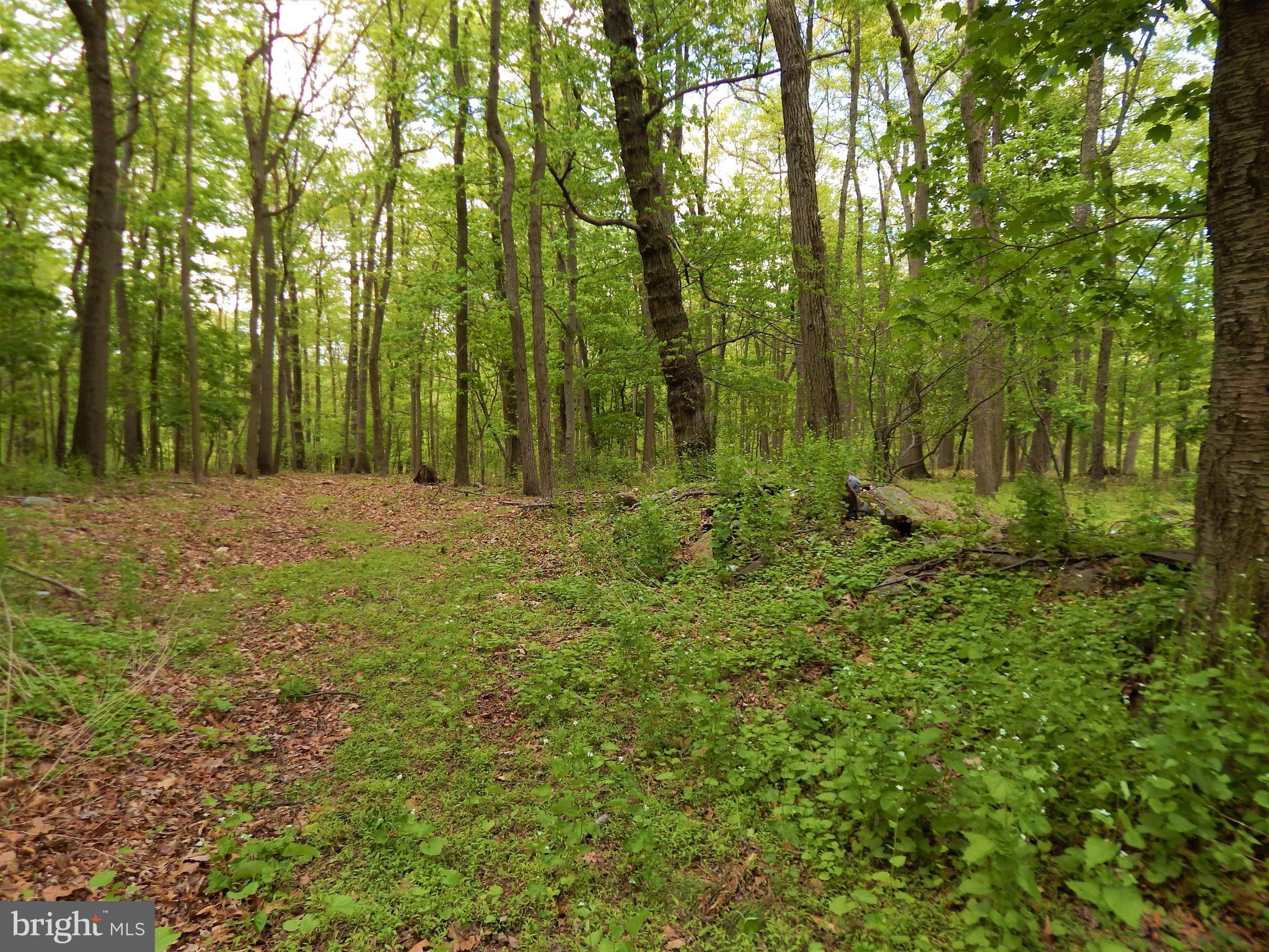 25 Godfrey Road Felton, PA 17322 - Photo 11 of 39 Gallery Image 11