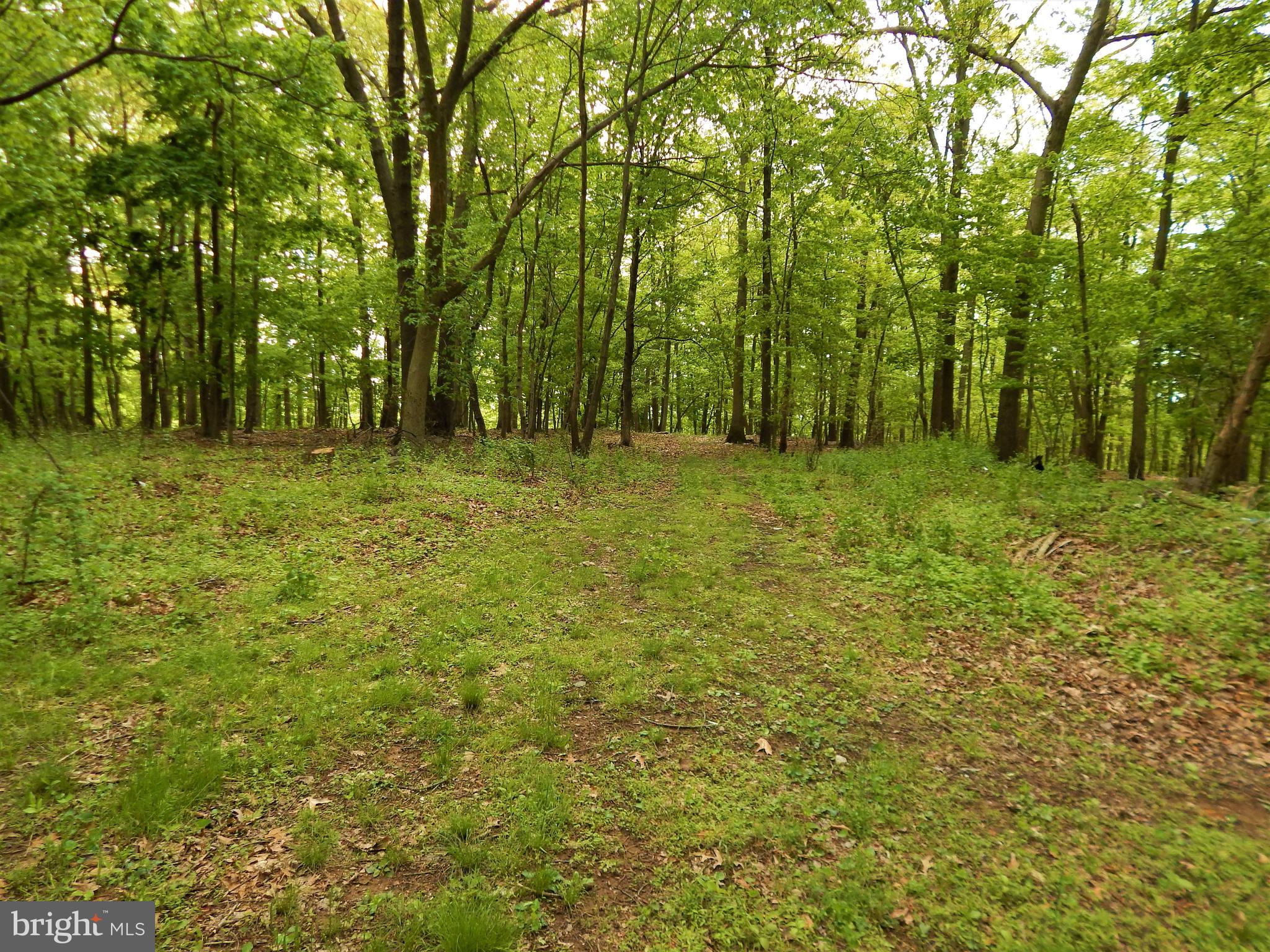 25 Godfrey Road Felton, PA 17322 - Photo 12 of 39 Gallery Image 12