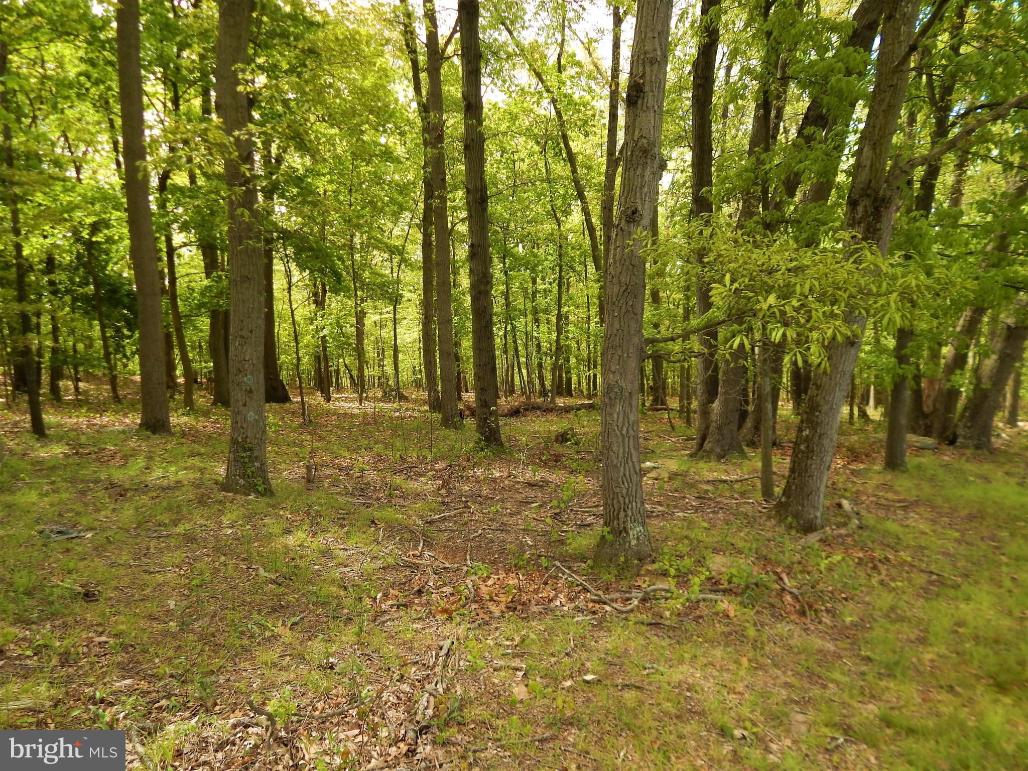 25 Godfrey Road Felton, PA 17322 - Photo 13 of 39 Gallery Image 13