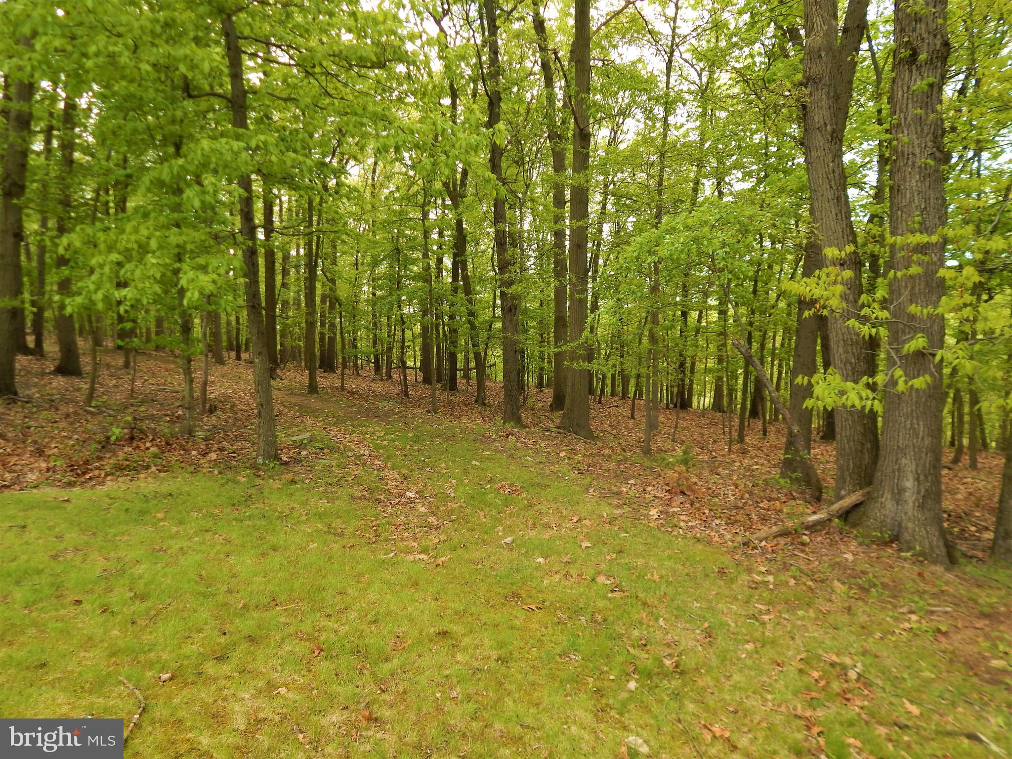 25 Godfrey Road Felton, PA 17322 - Photo 15 of 39 Gallery Image 15