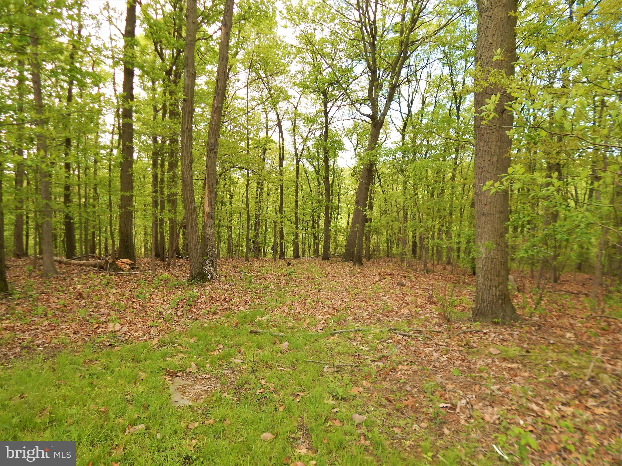 25 Godfrey Road Felton, PA 17322 - Photo 16 of 39 Gallery Image 16