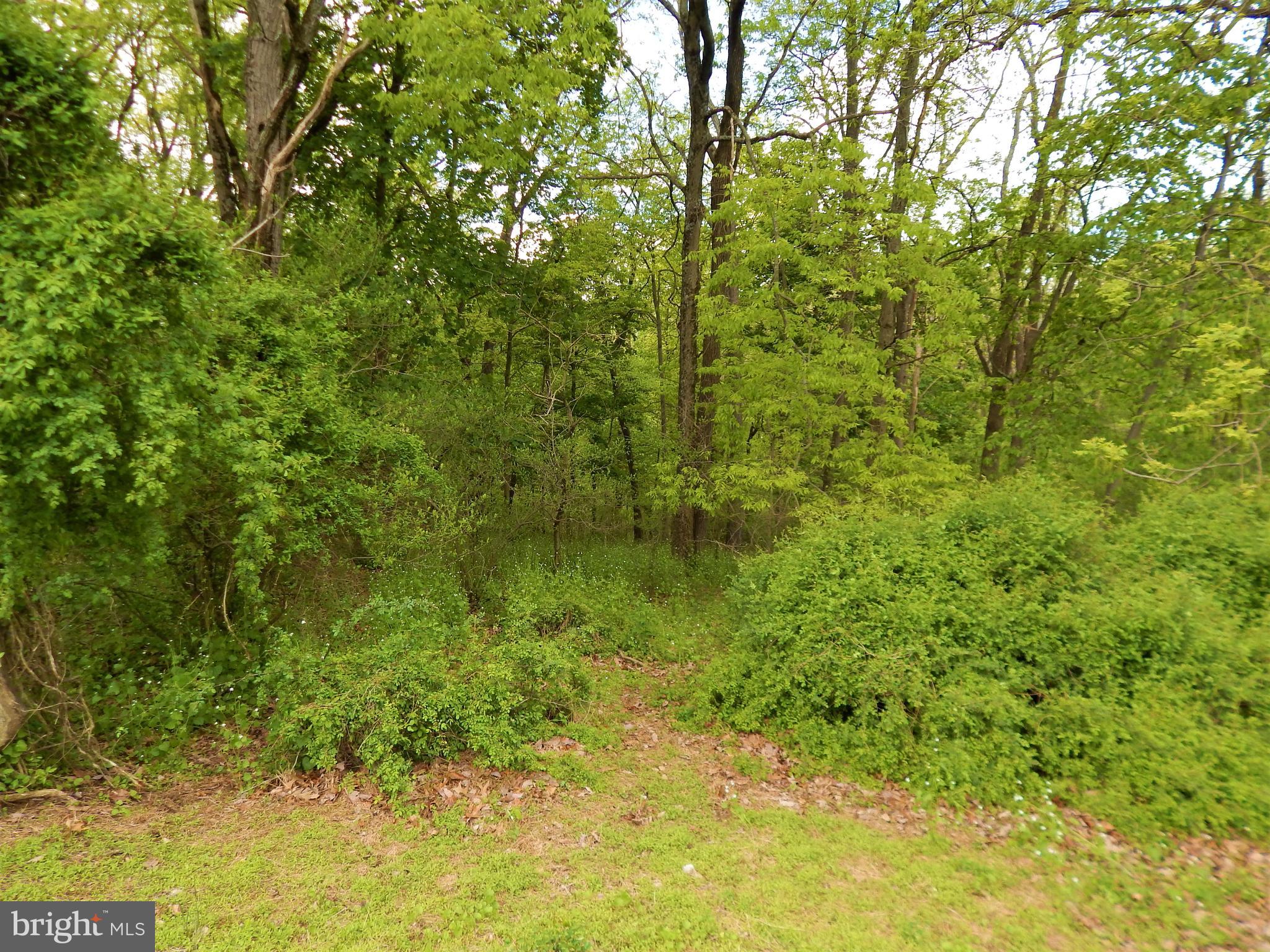 25 Godfrey Road Felton, PA 17322 - Photo 19 of 39 Gallery Image 19