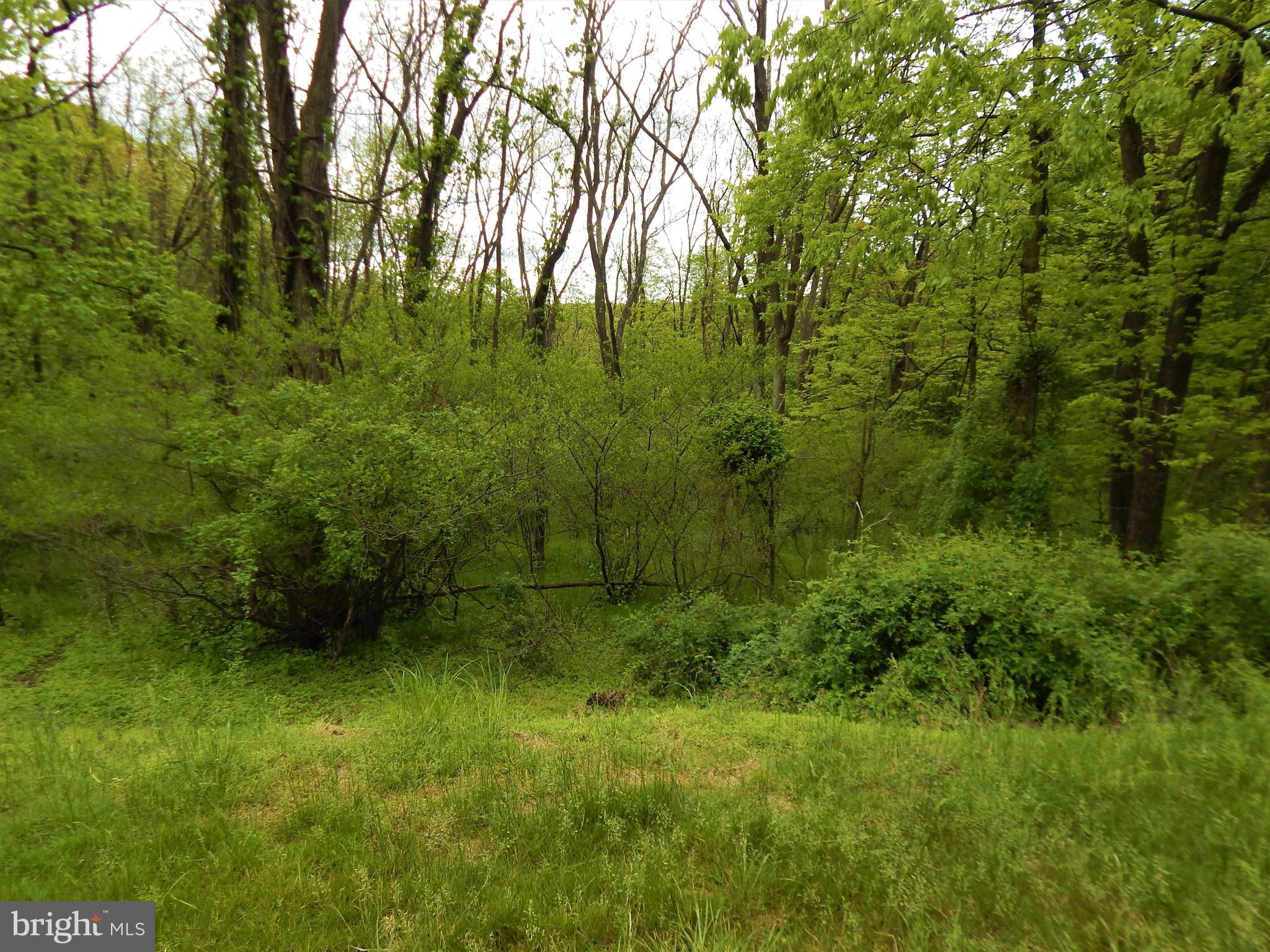 25 Godfrey Road Felton, PA 17322 - Photo 21 of 39 Gallery Image 21