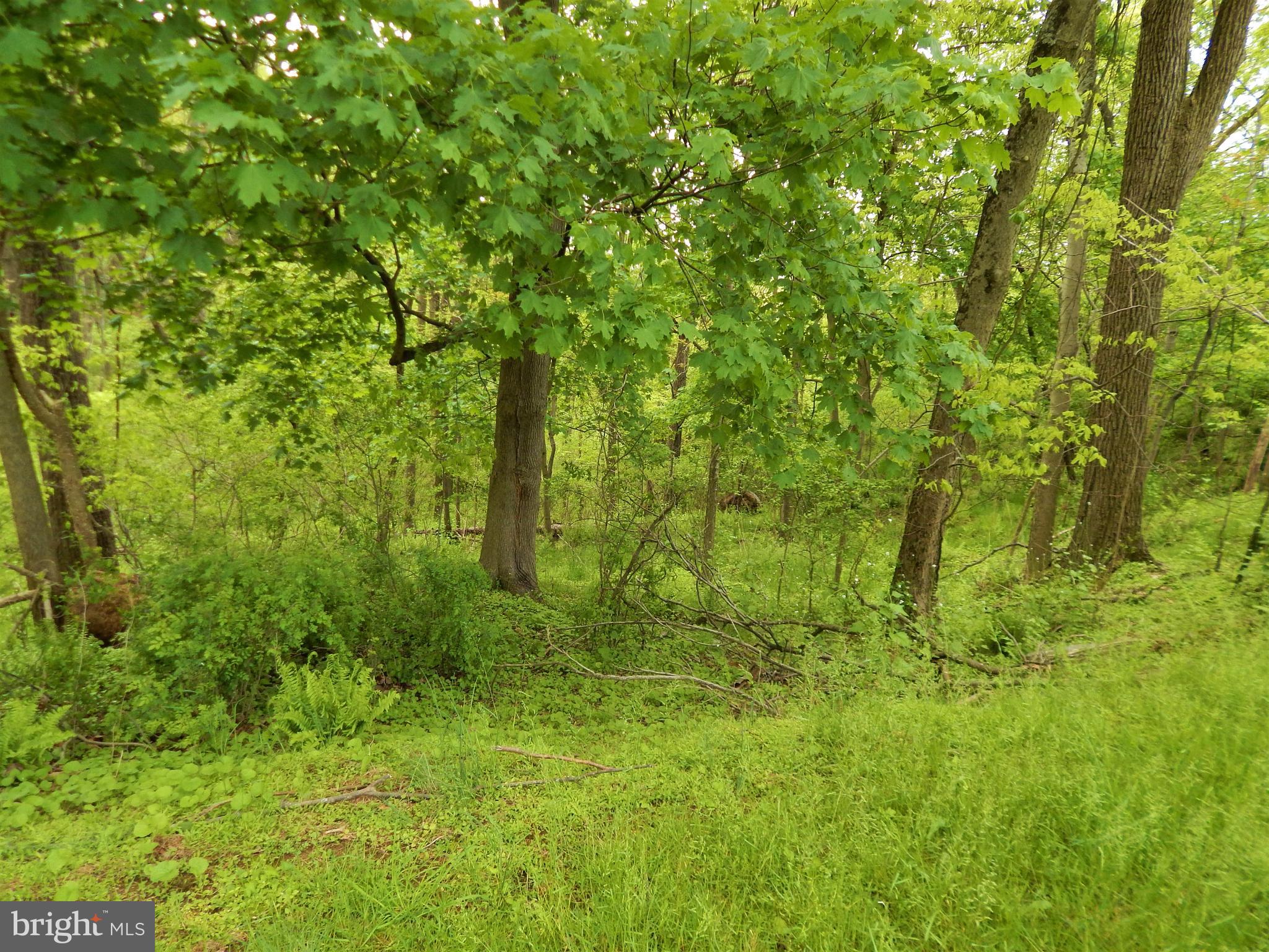 25 Godfrey Road Felton, PA 17322 - Photo 22 of 39 Gallery Image 22