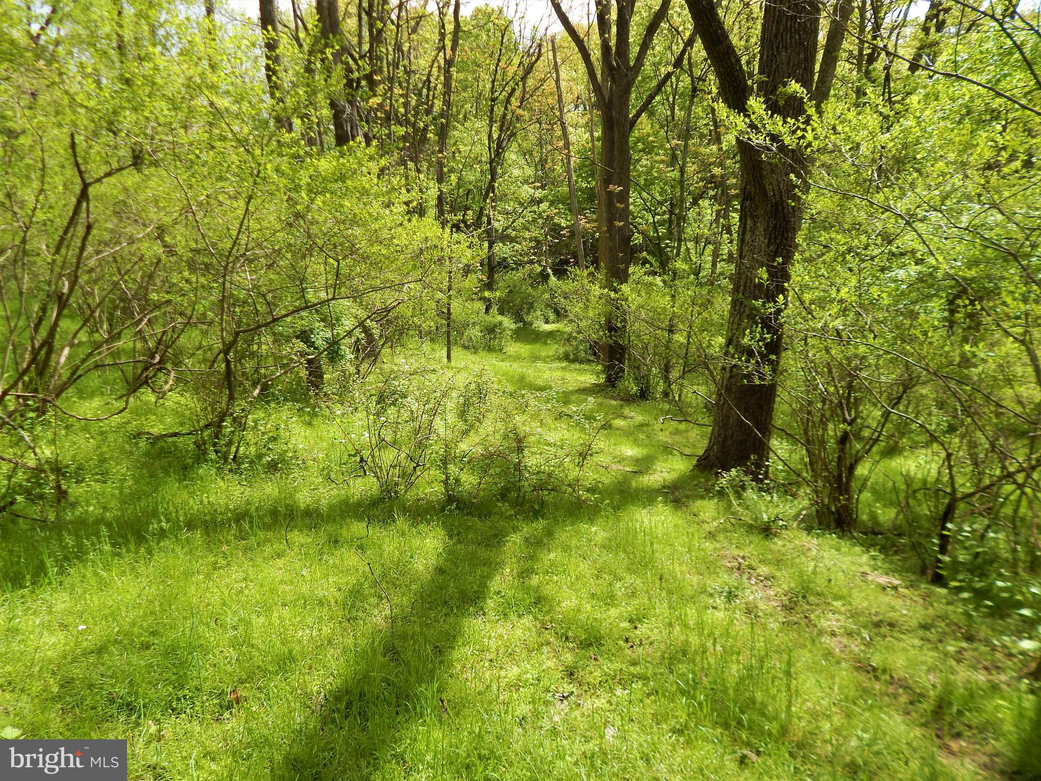 25 Godfrey Road Felton, PA 17322 - Photo 25 of 39 Gallery Image 25