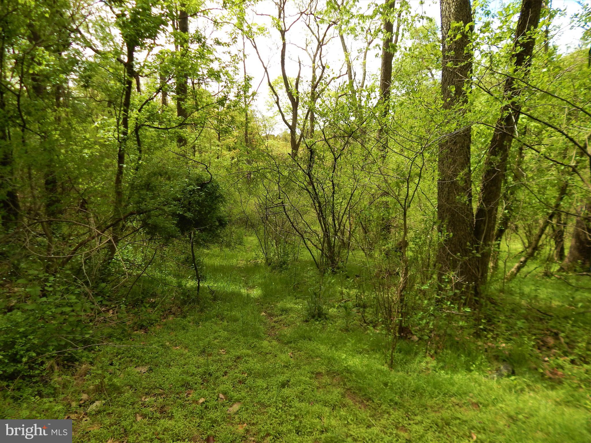 25 Godfrey Road Felton, PA 17322 - Photo 27 of 39 Gallery Image 27