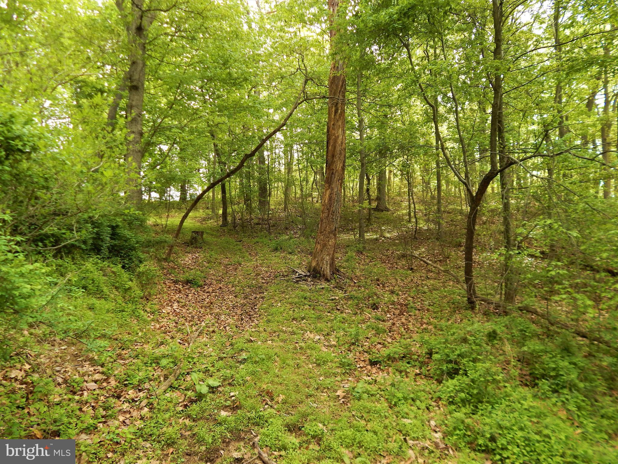 25 Godfrey Road Felton, PA 17322 - Photo 28 of 39 Gallery Image 28
