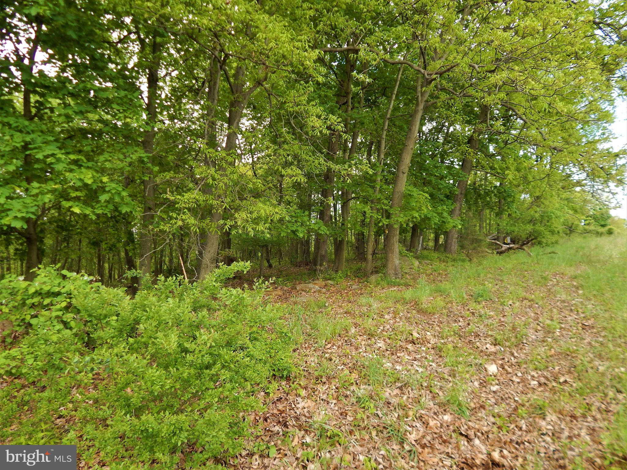 25 Godfrey Road Felton, PA 17322 - Photo 32 of 39 Gallery Image 32