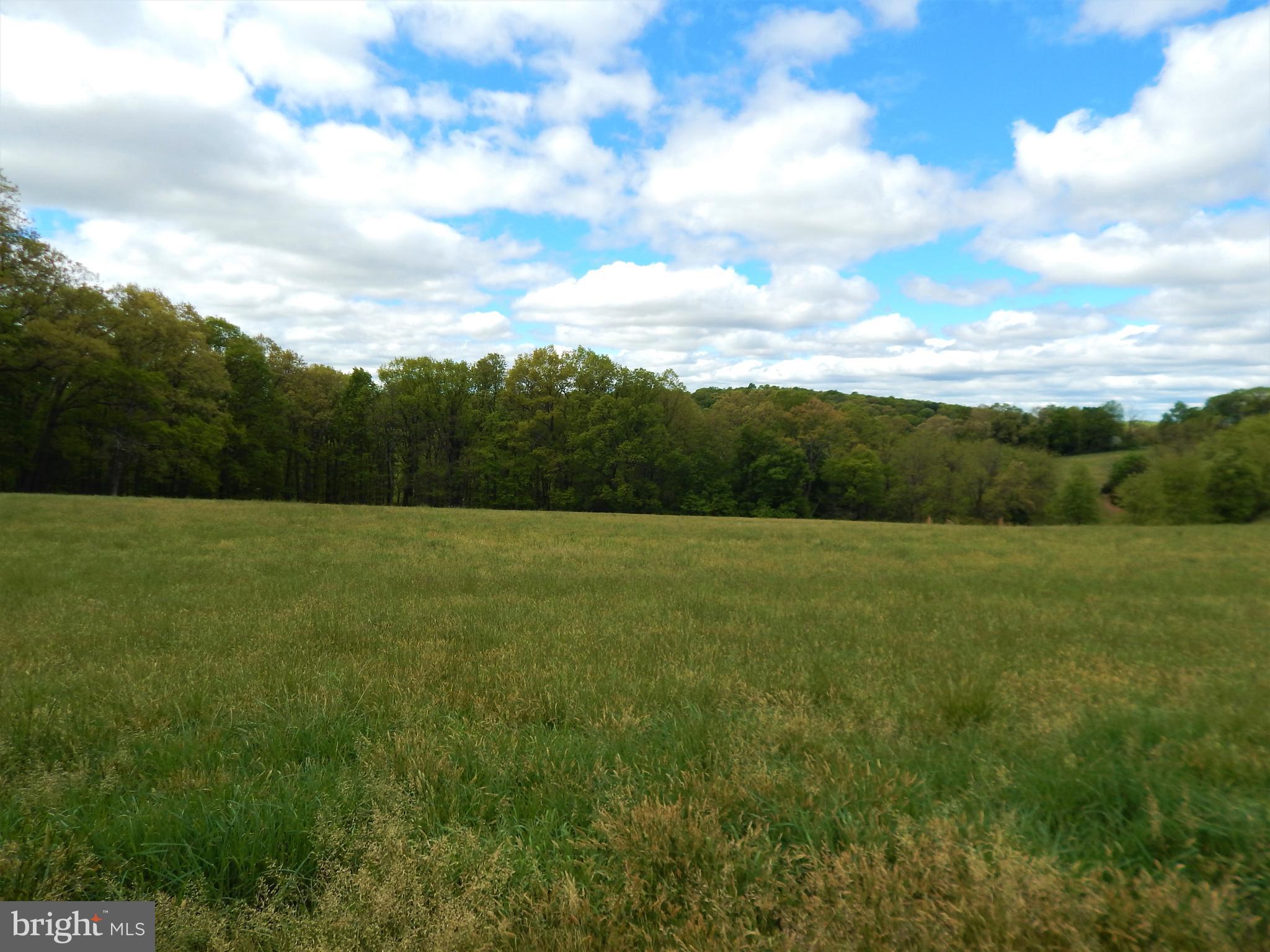 25 Godfrey Road Felton, PA 17322 - Photo 9 of 39 Gallery Image 9