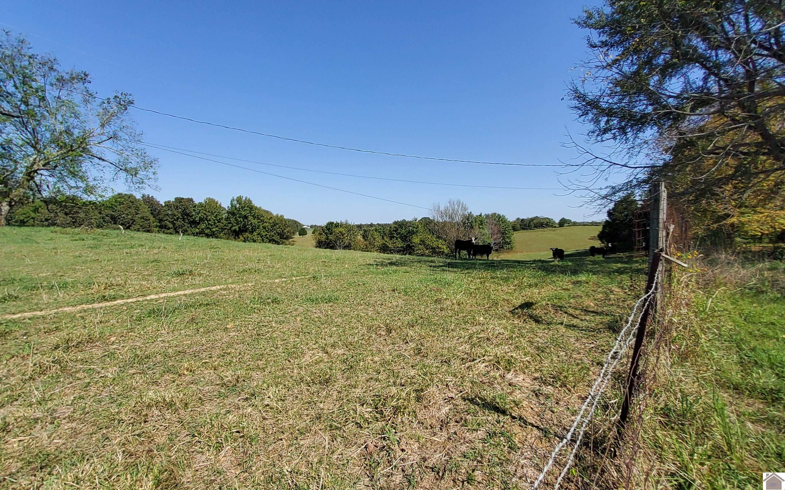 190 McKinney Road Kuttawa, KY 42055 - Photo 29 of 29 Photo 29