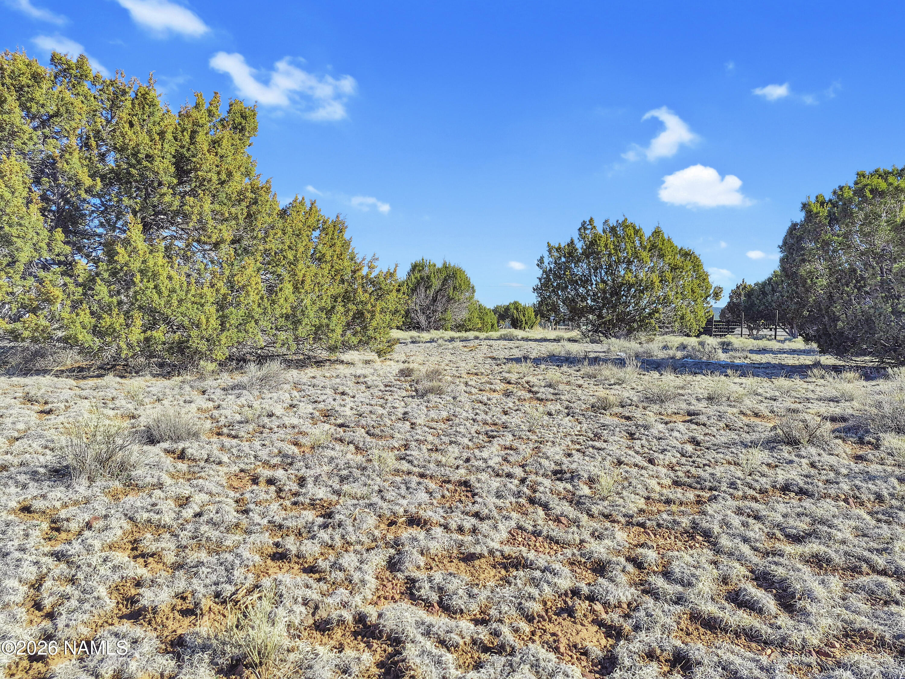 908 Hoctor Road Williams, AZ 86046 - Photo 11 of 17 Land Middle