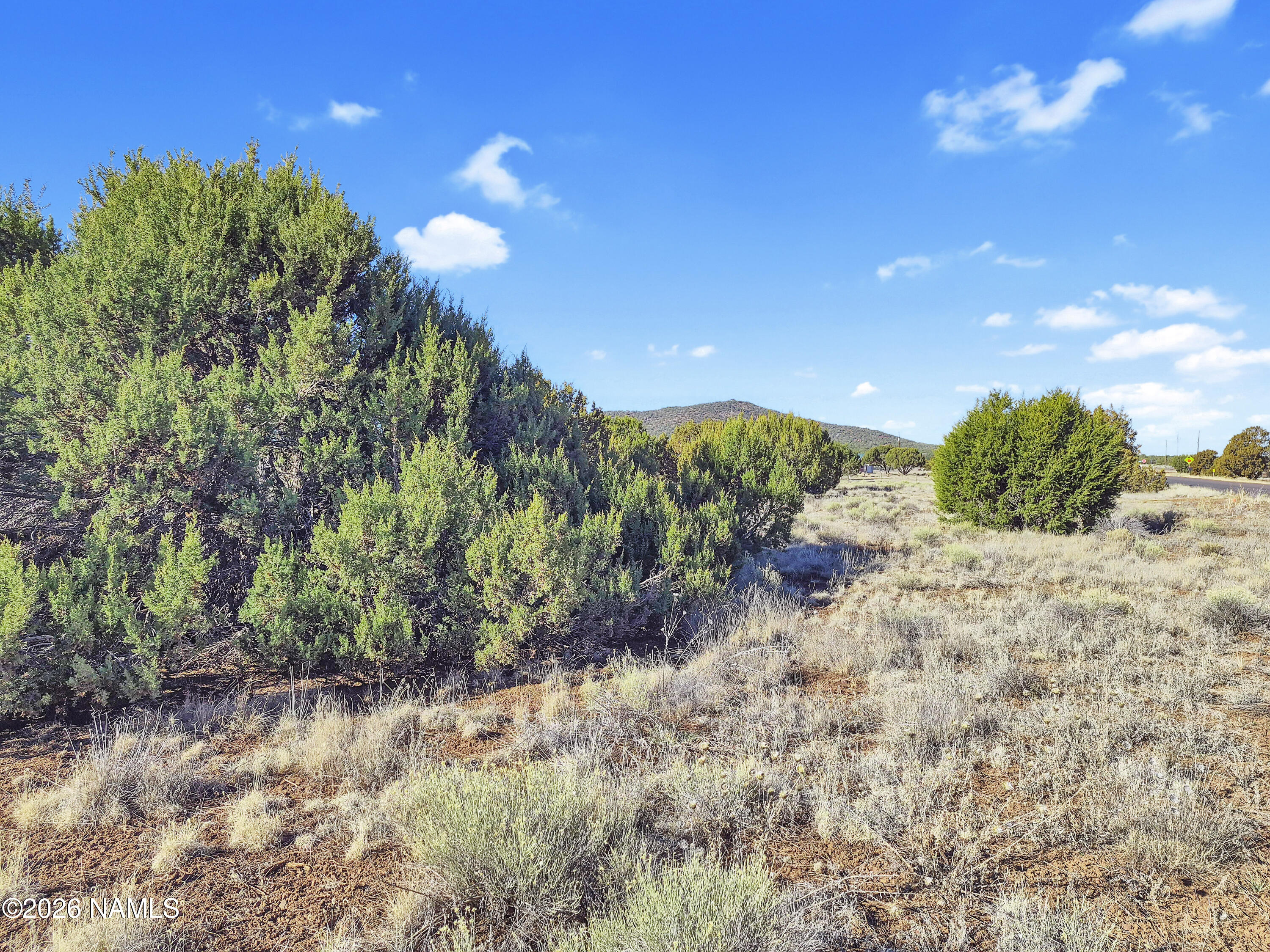 908 Hoctor Road Williams, AZ 86046 - Photo 3 of 17 Trees/Street