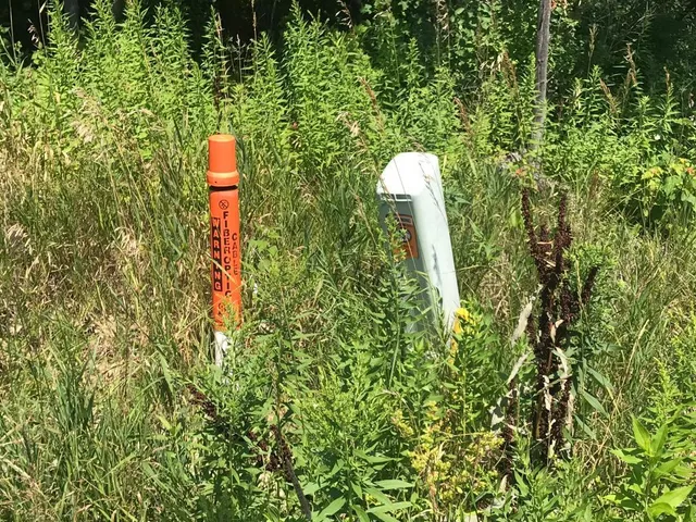 $995,000 | 3101-3151 125th Avenue Northeast, Blaine, MN 55449