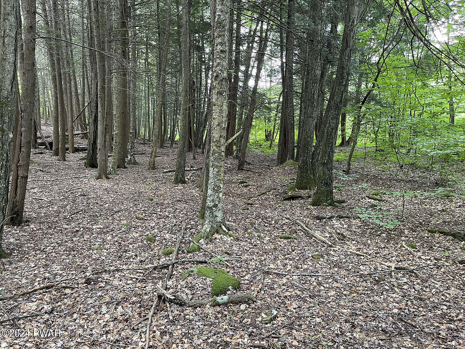 0 Rotten Road Equinunk, PA 18417 - Photo 11 of 20