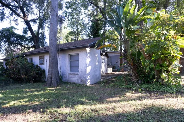 a view of backyard with potted plants and a large tree