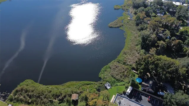 a view of a garden with plants