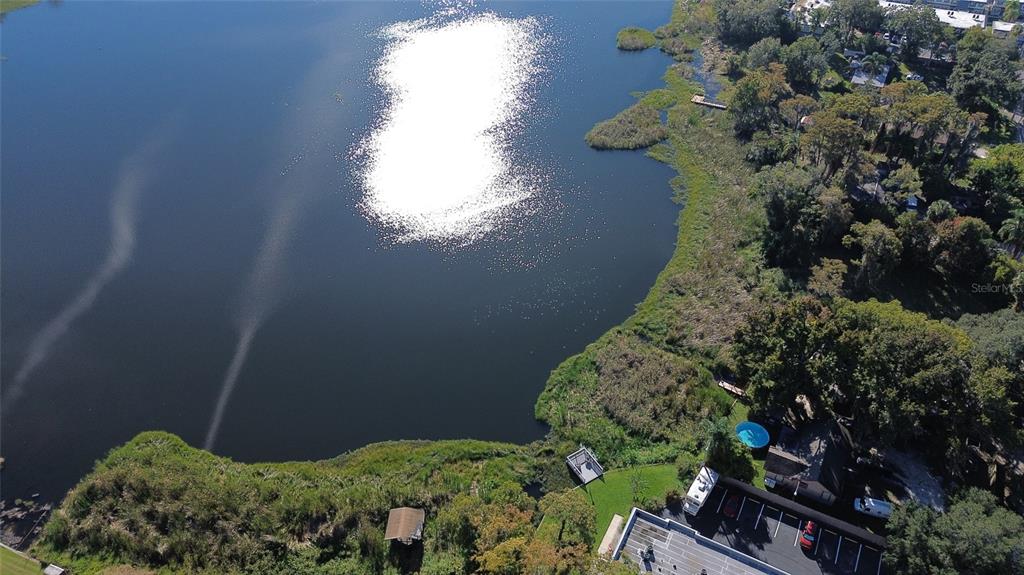 4711 Rio Grande Avenue Orlando, FL 32839 - Photo 5 of 38 a view of a garden with plants