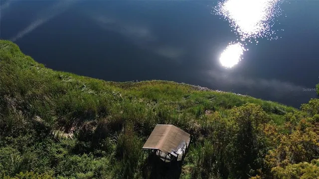 a view of a yard in a forest