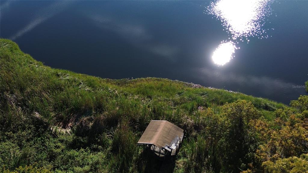 4711 Rio Grande Avenue Orlando, FL 32839 - Photo 9 of 38 a view of a yard in a forest