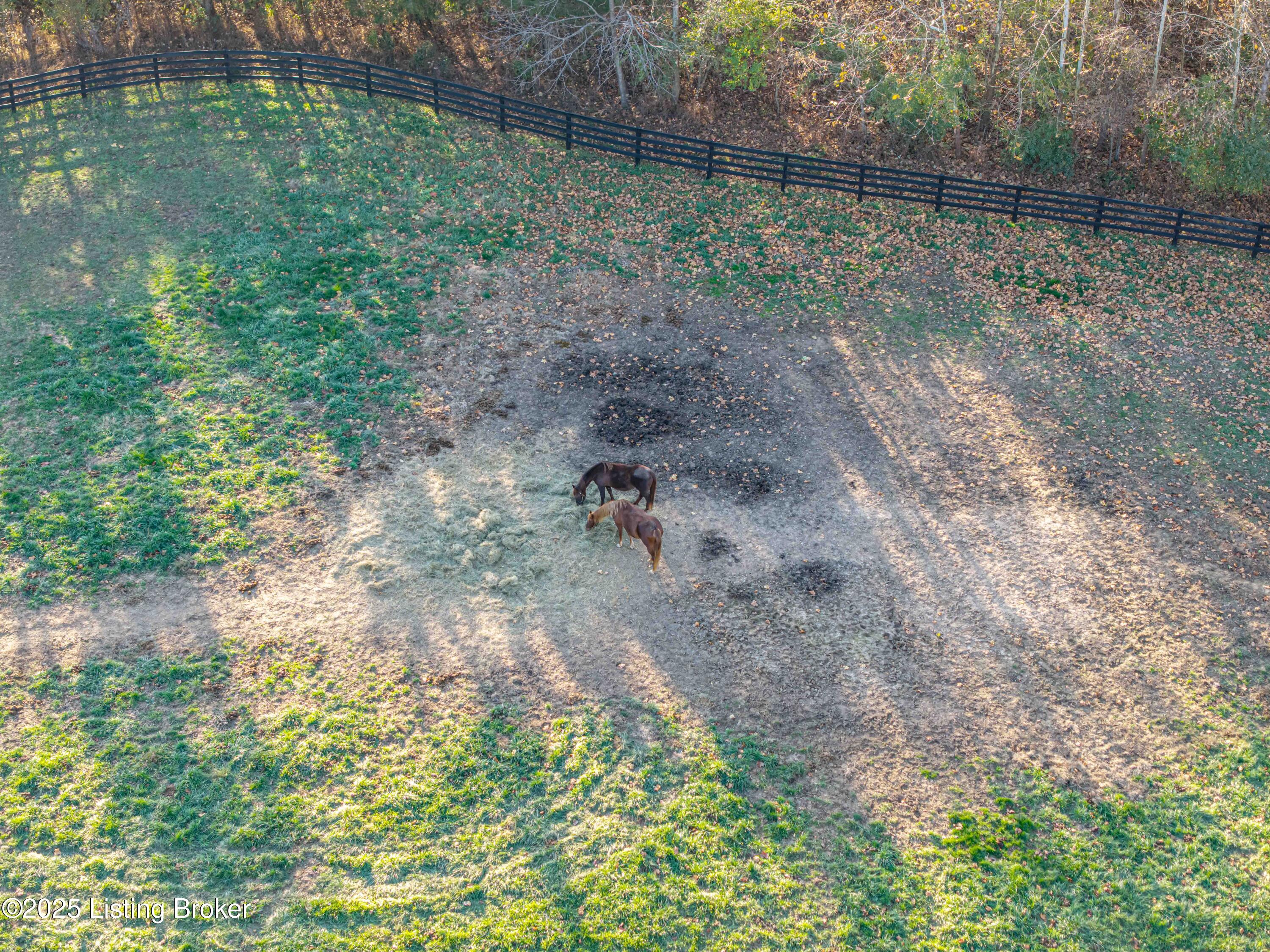 4199 Webb Road Simpsonville, KY 40067 - Photo 92 of 101 DJI_20251113160718_0860_D