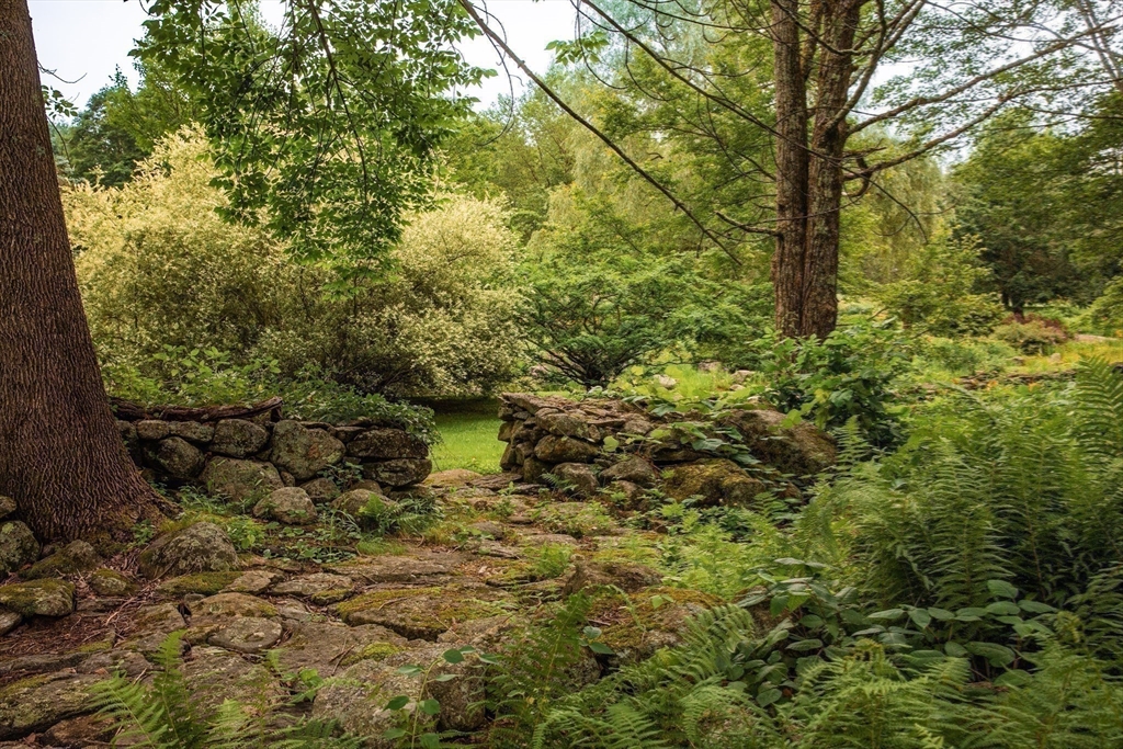 45 Sessions Road Hardwick, MA 01037 - Photo 20 of 28 a view of a forest with a tree