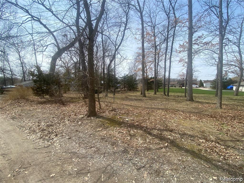 0 Edgewater Drive Brighton, MI 48116 - Photo 2 of 14