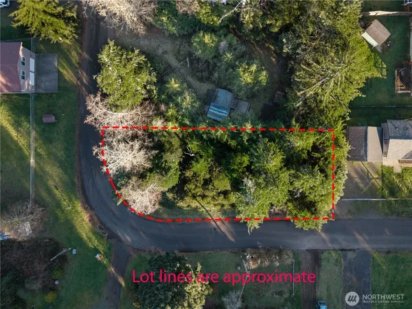 a view of a flowers in a yard