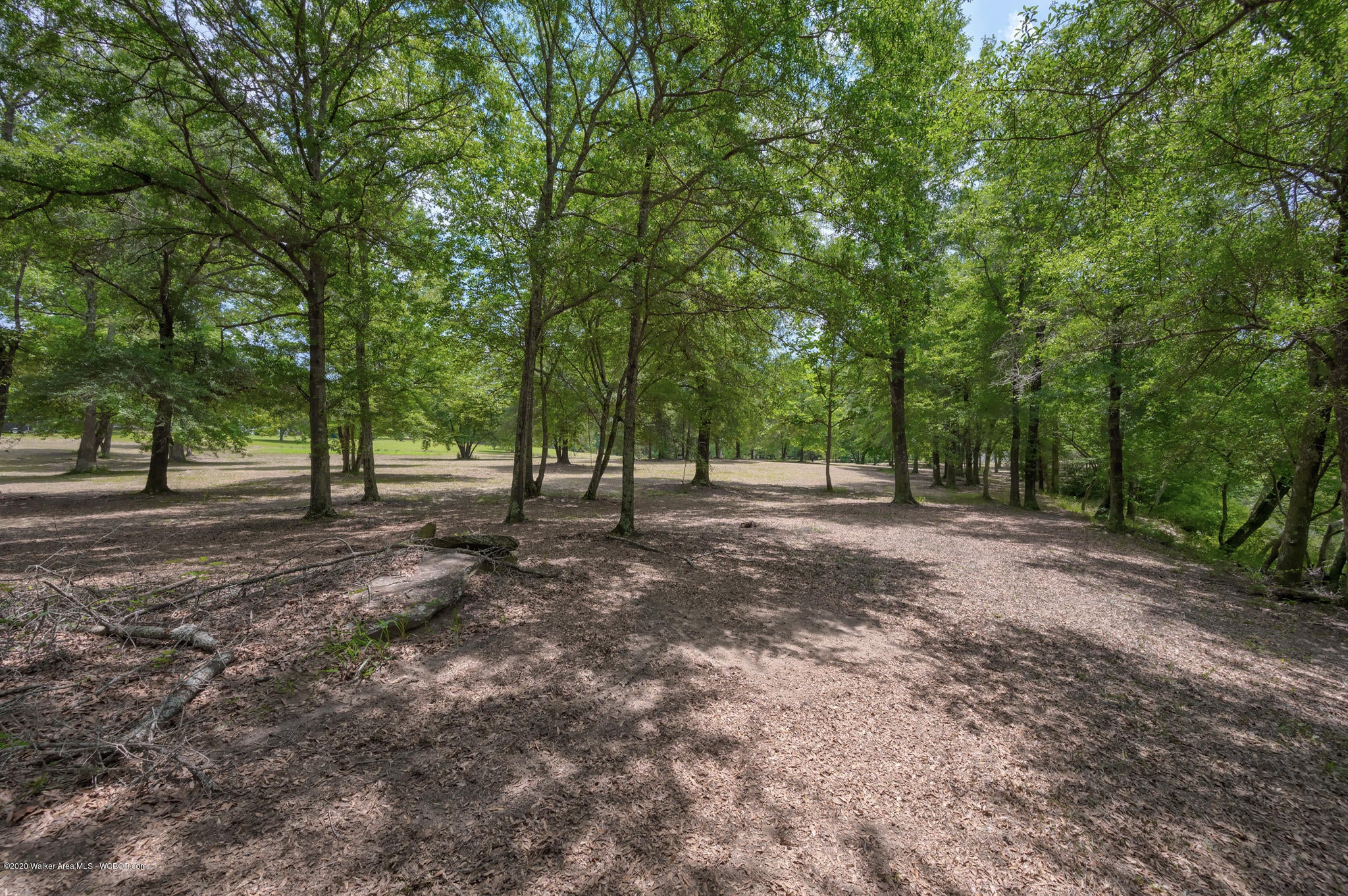 863 Harrison Shipman Road Jasper, AL 35503 - Photo 9 of 47 Gallery Image 9