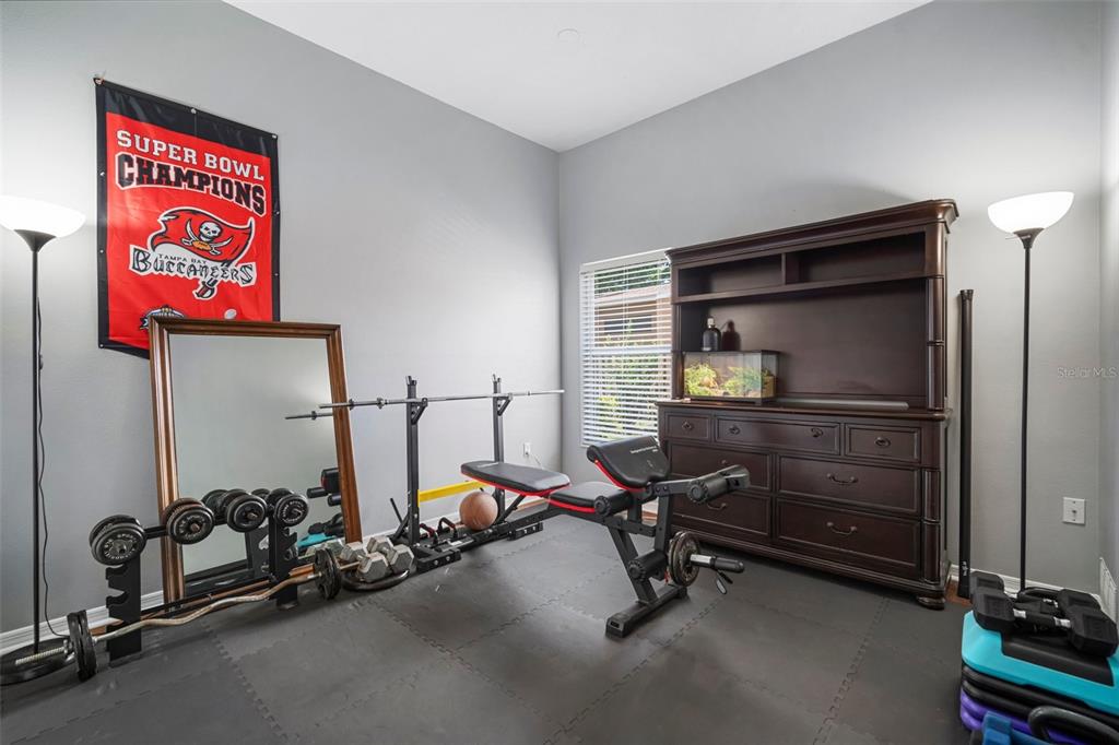 2903 Manor Ridge Place Valrico, FL 33596 - Photo 45 of 72 Gallery Image 45