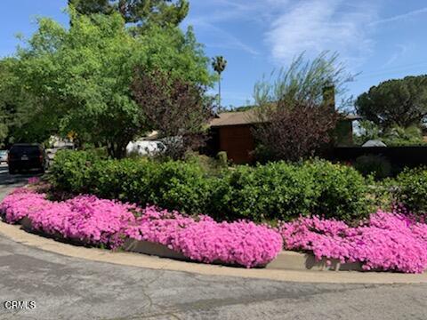 2938 Highridge Road La Crescenta, CA 91214 - Photo 51 of 51 Highridge front blooming